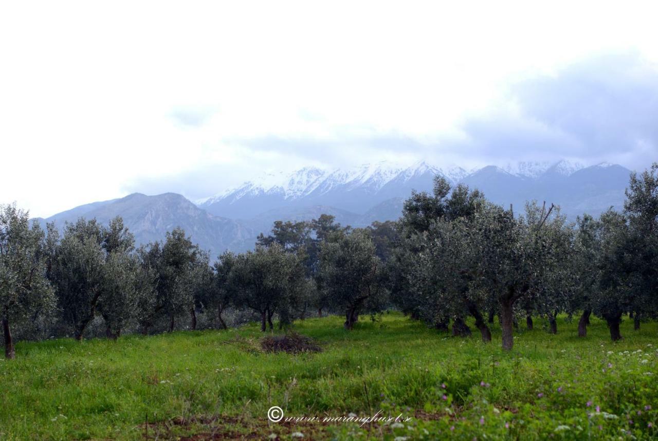 Helen - The Spartan Home Dış mekan fotoğraf